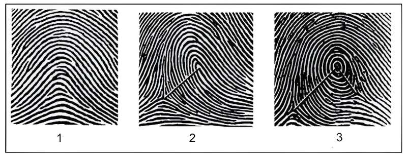 Your fingerprint is actually 3D—research into holograms could improve forensic fingerprint analysis