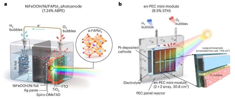 New study unveils scalable and efficient photoelectrode modules for green hydrogen production
